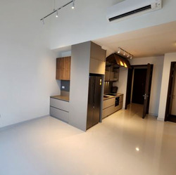 Parksuites (D10), Apartment #482080651